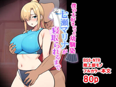 とりのすなきも